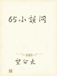 65小说网
