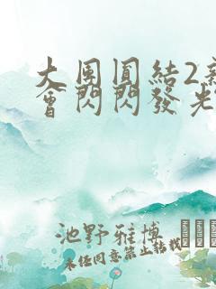 大团圆结2亲情会闪闪发光