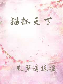 猫抓天下