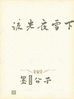 流光夜雪下载