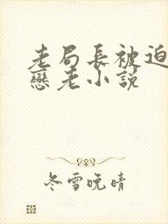 老局长被迫为奴恋老小说