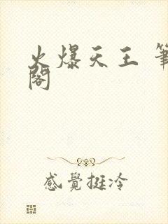 火爆天王 笔趣阁