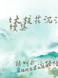 t大校花沉浮录续集