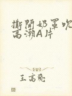 撕开奶罩吮奶头高潮A片