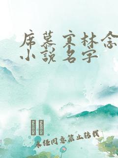 席慕寒林念儿的小说名字