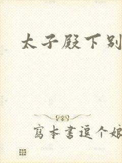 太子殿下别惹我