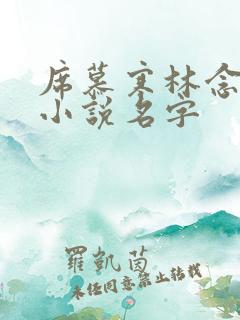 席慕寒林念儿的小说名字