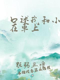口述我和小娻孑在车上