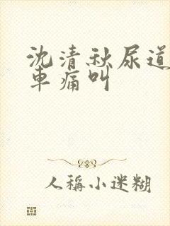 沈清秋尿道扩张车痛叫