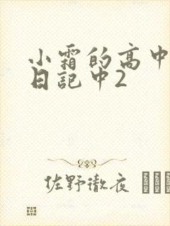 小霜的高中成长日记中2