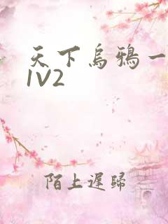 天下乌鸦一般黑1V2