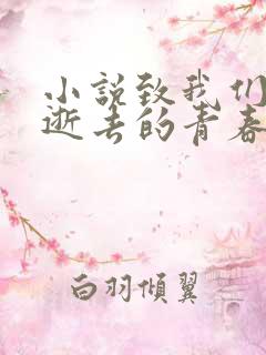 小说致我们终将逝去的青春