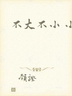 不大不小 小说