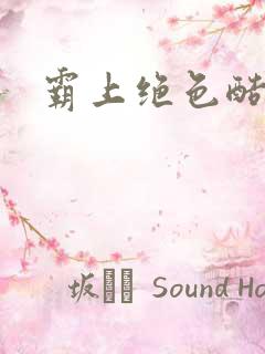 霸上绝色酷王爷