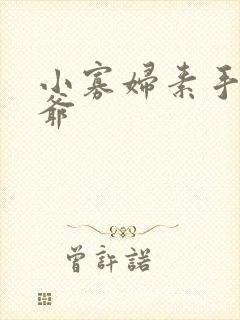 小寡妇素手擒四爷