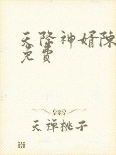 天降神婿陈黄皮免费