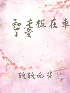 和老板在车里做了爱