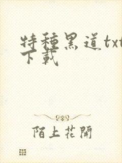 特种黑道txt下载