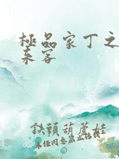 极品家丁之远方来客