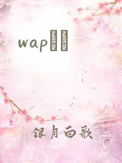 wapС˵