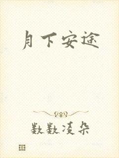 月下安途