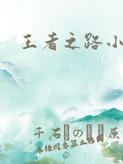 王者之路小说