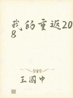 我的重返2008