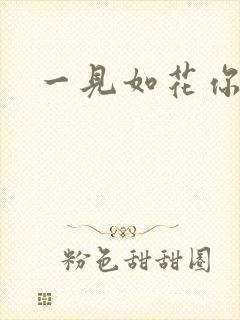 一见如花你就笑