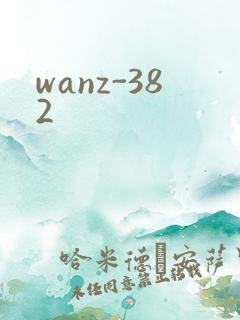 wanz-382
