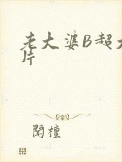 老大婆B超大图片