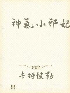 神气小邪妃