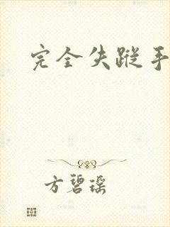 完全失踪手册