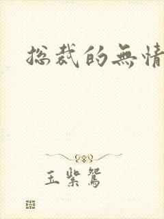 总裁的无情游戏