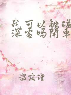 我可以触碰你的深处吗开车作文