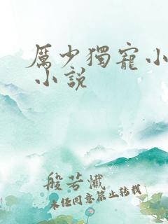 厉少独宠小娇妻 小说