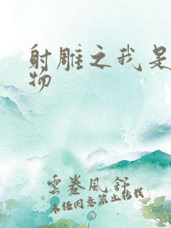 射雕之我是小人物