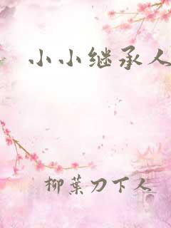 小小继承人