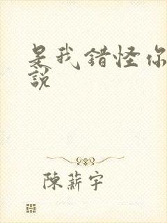 是我错怪你了小说