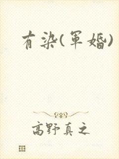 有染(军婚)