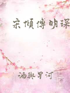 宋倾傅明琛小说