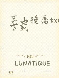 茅山后裔txt下载