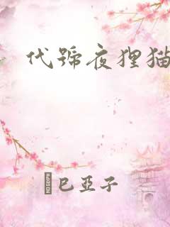 代号夜狸猫事件