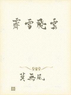 霁雪飞云
