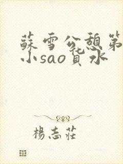 苏雪公憩第一章小sao货水