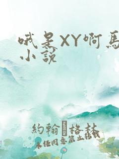 哦是XY啊马仔小说