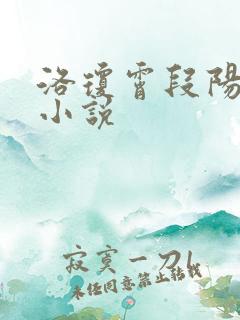 洛琼霄段阳澍的小说