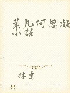 叶凡何思凝七月小说