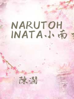 NARUTOHINATA小南本子