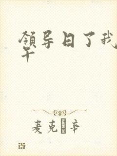 领导日了我一下午