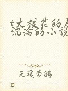 t大校花的屈辱沉沦的小说